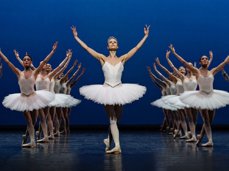 Royal Danish Ballet: Ballet De Luxe